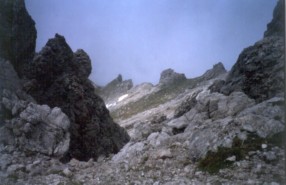 Mindelheimer - bessere Sicht