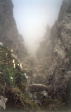 Mindelheimer - zum Fiderepa� (im Nebel)