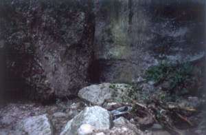 Rio Sallagoni: Schlucht mit Farnen