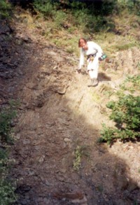 Calmont - abgerutschtes Erdreich