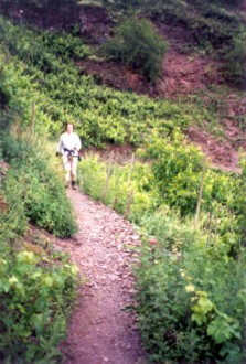 Calmont - kurz vor Bremm