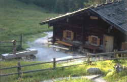 Mitterkaser Alm (1408m)