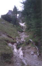 Abstieg - steile Mulde