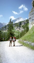 Blick zur Alpspitze